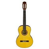 Классическая гитара Aria A-30S N